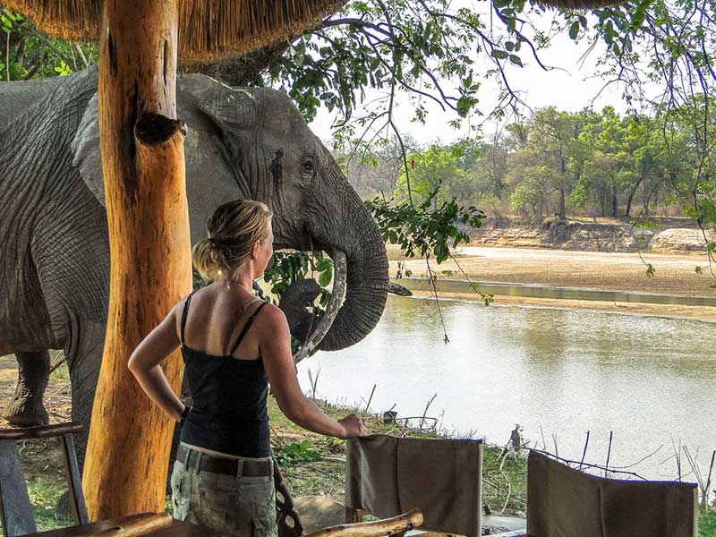 Track & Trail Camp - South Luangwa